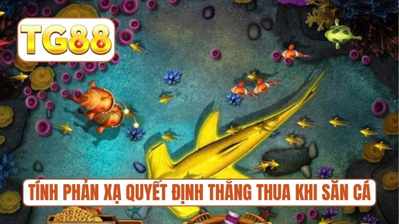 Phản xạ tức thì quyết định thắng thua khi săn cá